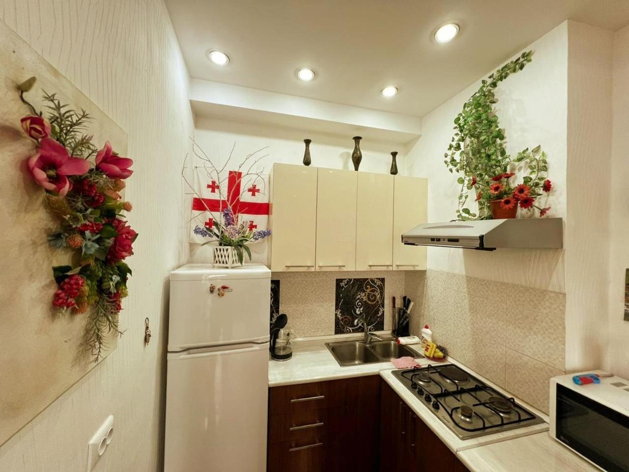 Cozy Apartment In The City Center Mtatsminda Tbilisi Eksteriør billede